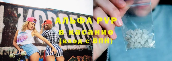 индика Алапаевск