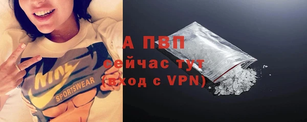 индика Алапаевск