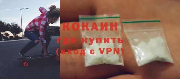 индика Алапаевск
