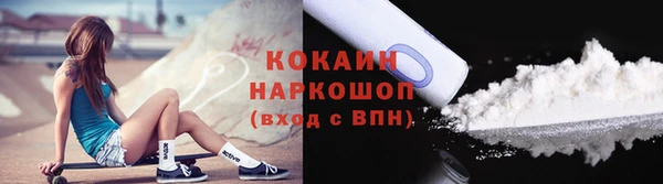 индика Алапаевск