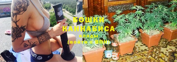 индика Алапаевск