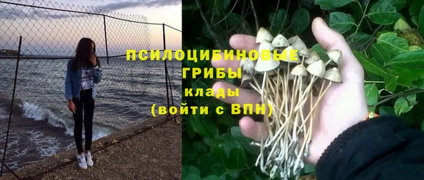 индика Алапаевск