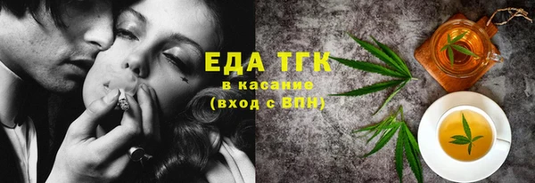 индика Алапаевск